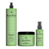 RoseBaie Trio aloe vera shampoing masque et sérum