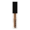 EWANY True Skin Concealer Anti-cernes & Correcteurs 30 Caramel