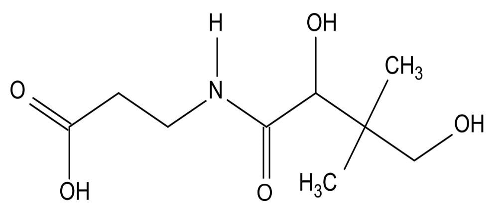 Vitamine b5