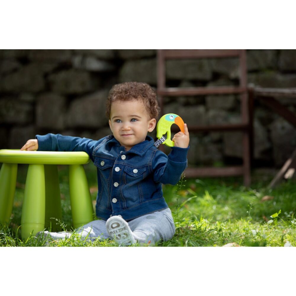 Chicco anneau de dentition réfrigerant avec eau toucan 6m+