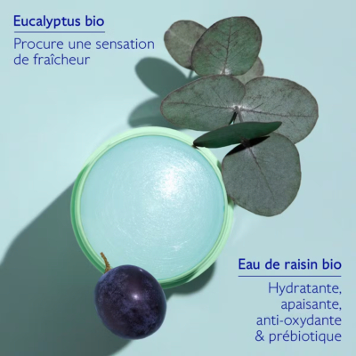 Caudalie vinofresh déodorant stick naturel 50g