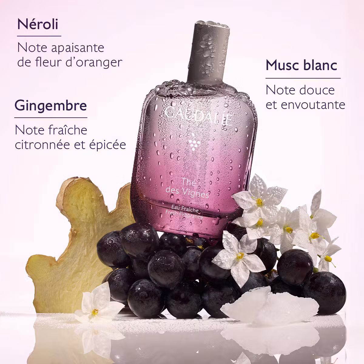 Caudalie eau fraîche thé des vignes 50ml Caudalie eau fraîche thé des vignes 50ml