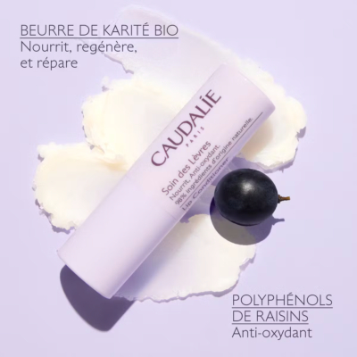 Caudalie vinotherapist soin des lèvres 4,5g
