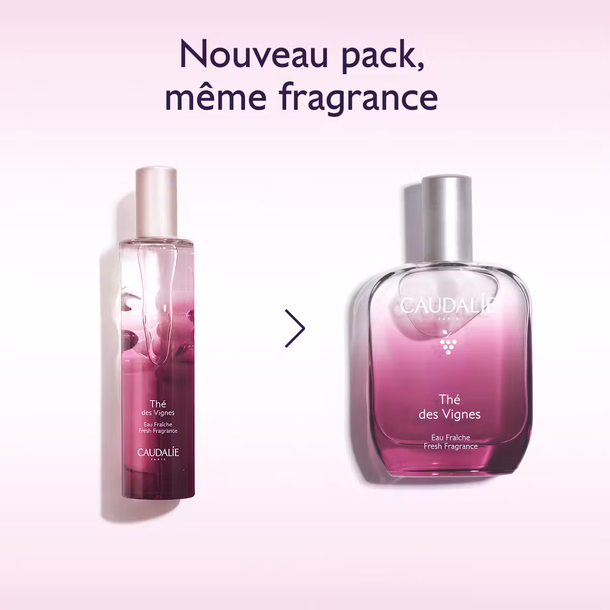 Caudalie eau fraîche thé des vignes 50ml Caudalie eau fraîche thé des vignes 50ml