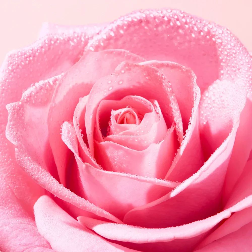 Nuxe very rose lotion tonique fraîcheur 200ml