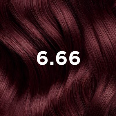Phyto Couleur Coloration Permanente 6.66 Châtain Clair Cerise Intense