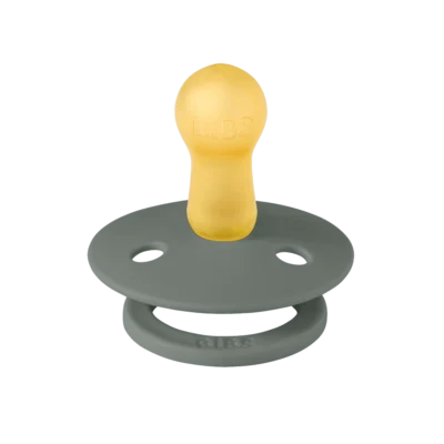 Bibs colour 2 sucettes taille 2 pine - cornflower 6 à 18 mois Bibs colour 2 sucettes taille 2 pine - cornflower 6 à 18 mois