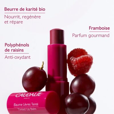 Caudalie vinotherapist baume lèvres teinté 4,5 g