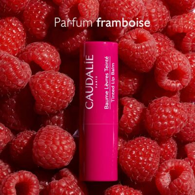 Caudalie vinotherapist baume lèvres teinté 4,5 g