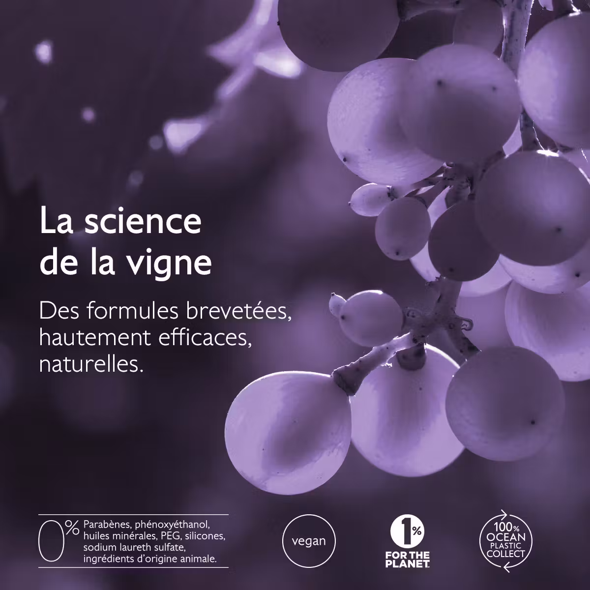 Caudalie shampoing densité et volume 200ml Caudalie shampoing densité et volume 200ml